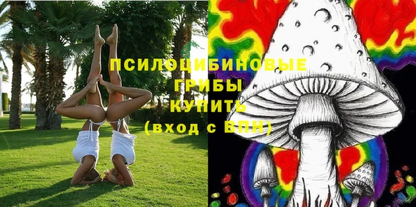 ALPHA-PVP Алексеевка