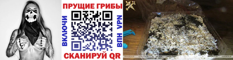 Галлюциногенные грибы ЛСД  где купить наркотик  Урюпинск 
