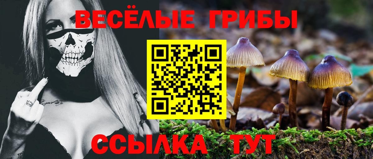 Псилоцибиновые грибы Psilocybine cubensis Урюпинск