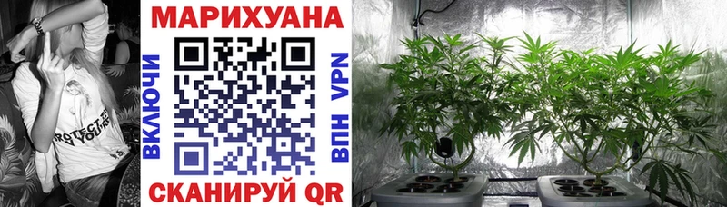 Бошки марихуана White Widow ОМГ ОМГ ссылка Урюпинск